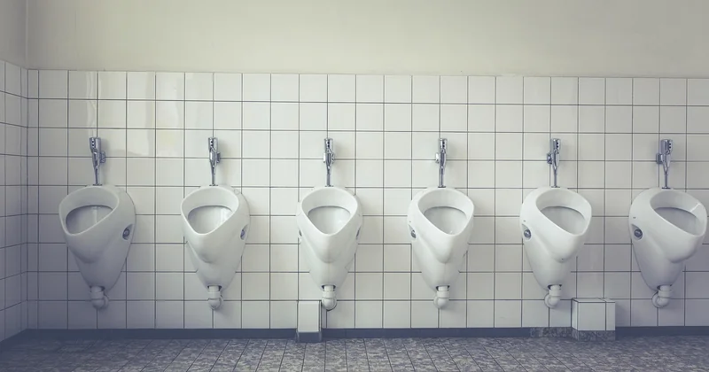 Les vraies causes d'une infestation de vers noirs