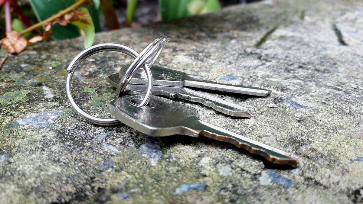 Comment reconnaître un vrai professionnel ?