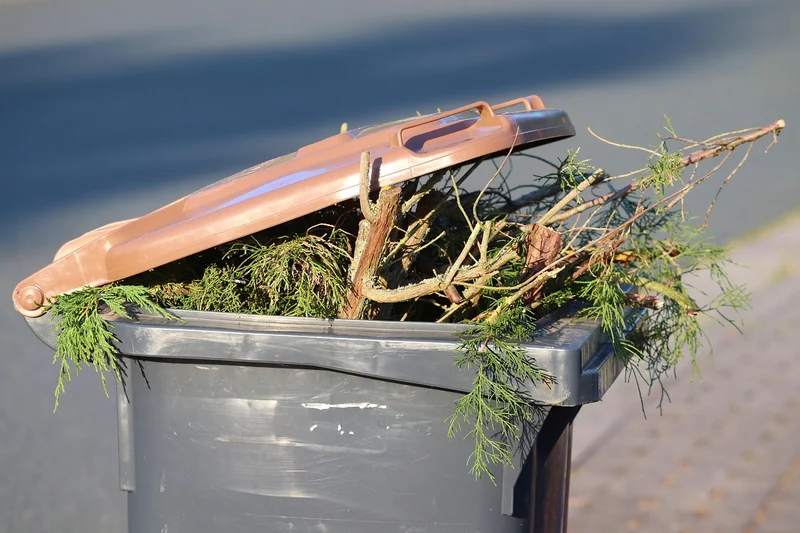 Comment se débarrasser des déchets verts quand on en a beaucoup ? (Réponse détaillée)
